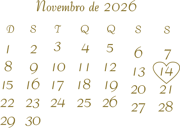 Calendário de Novembro de 2026 com dia 14 destacado